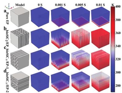 西安交大杨建锋、王波《Adv.Sci.》 木材衍生3D SiC框架赋能，创制导热率达10.27W/mK的高性能复合材料